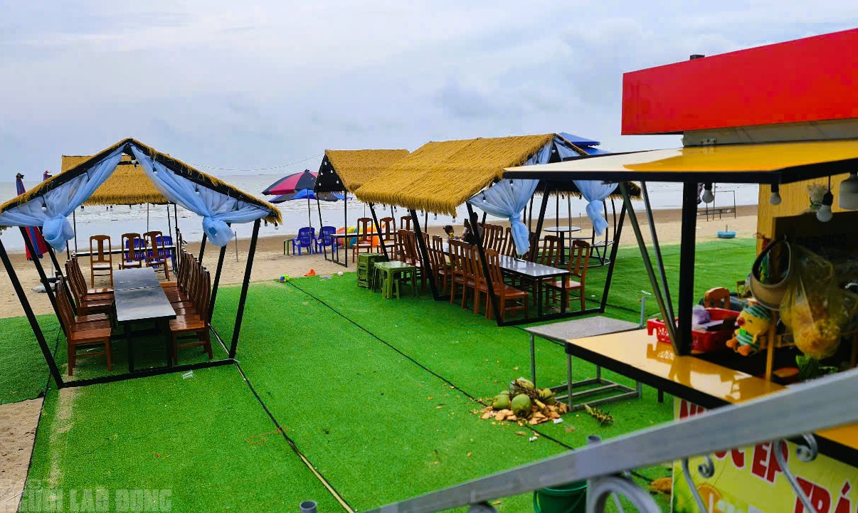 Cảnh khó tin ở bãi biển nổi tiếng tại Thanh Hóa- Ảnh 4.