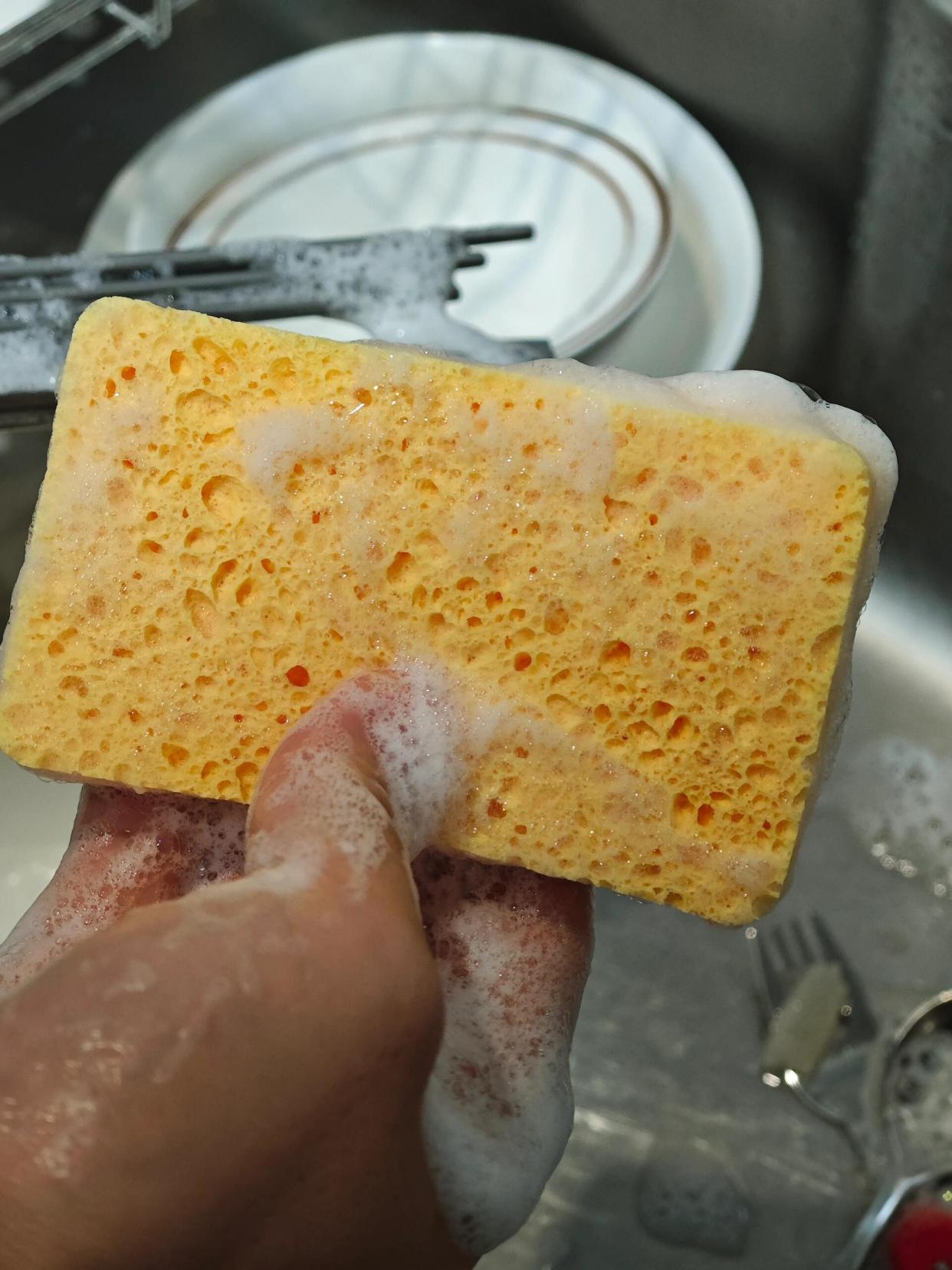 Một người rửa bát ẩu, cả nhà ăn cơm với vi khuẩn: 5 LỖI SAI tai hại cần sửa gấp!- Ảnh 2.