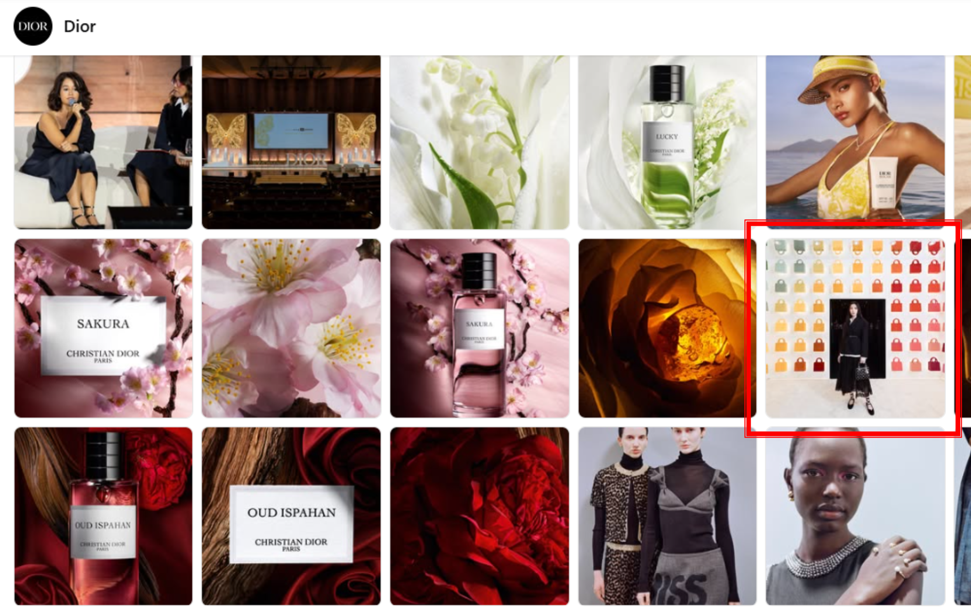 Cuộc tình này đúng là sai vì Dior lại xoá ảnh Thuỳ Tiên mất rồi!- Ảnh 6.