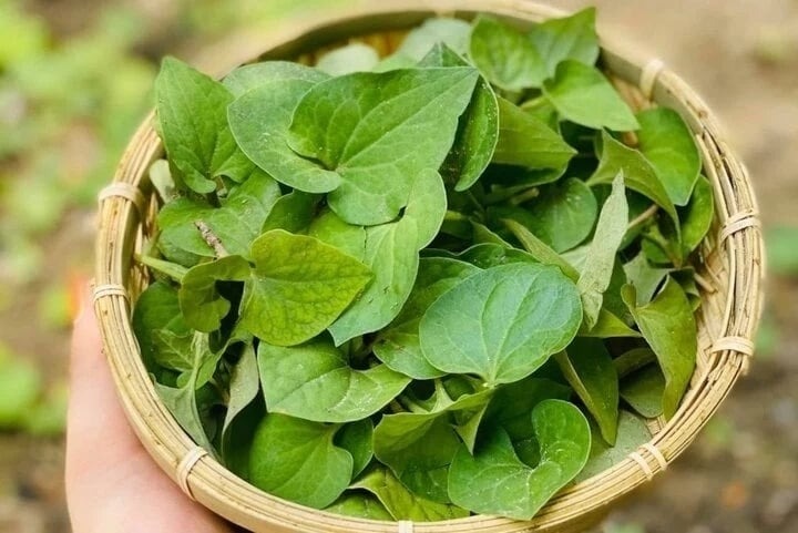 8 loại rau yên tâm mua ở chợ, không lo thuốc trừ sâu- Ảnh 8.