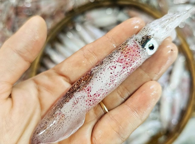 Về phố biển 'đu trend' cuốn mực tươi rau muống- Ảnh 2.