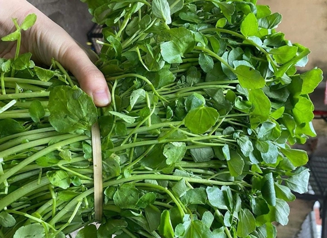 2 loại rau dễ là nơi "tổ ký sinh trùng" ẩn náu, nhất là cái số 1- Ảnh 1.