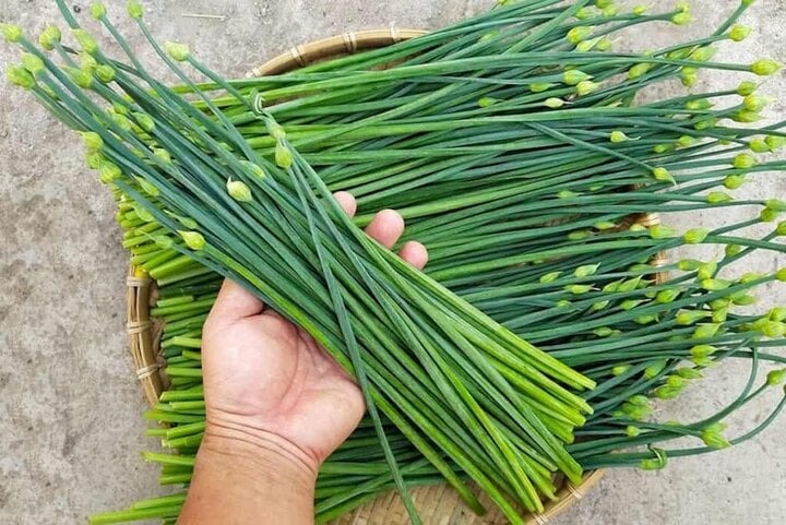 8 loại rau yên tâm mua ở chợ, không lo thuốc trừ sâu- Ảnh 3.