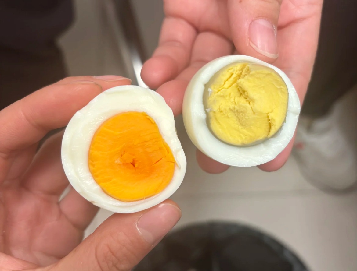 Có 2 loại trứng trong 
