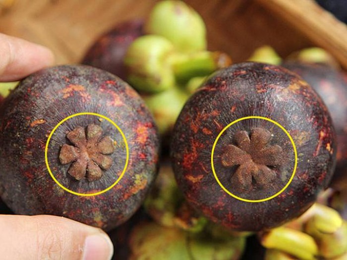 4 mẹo 