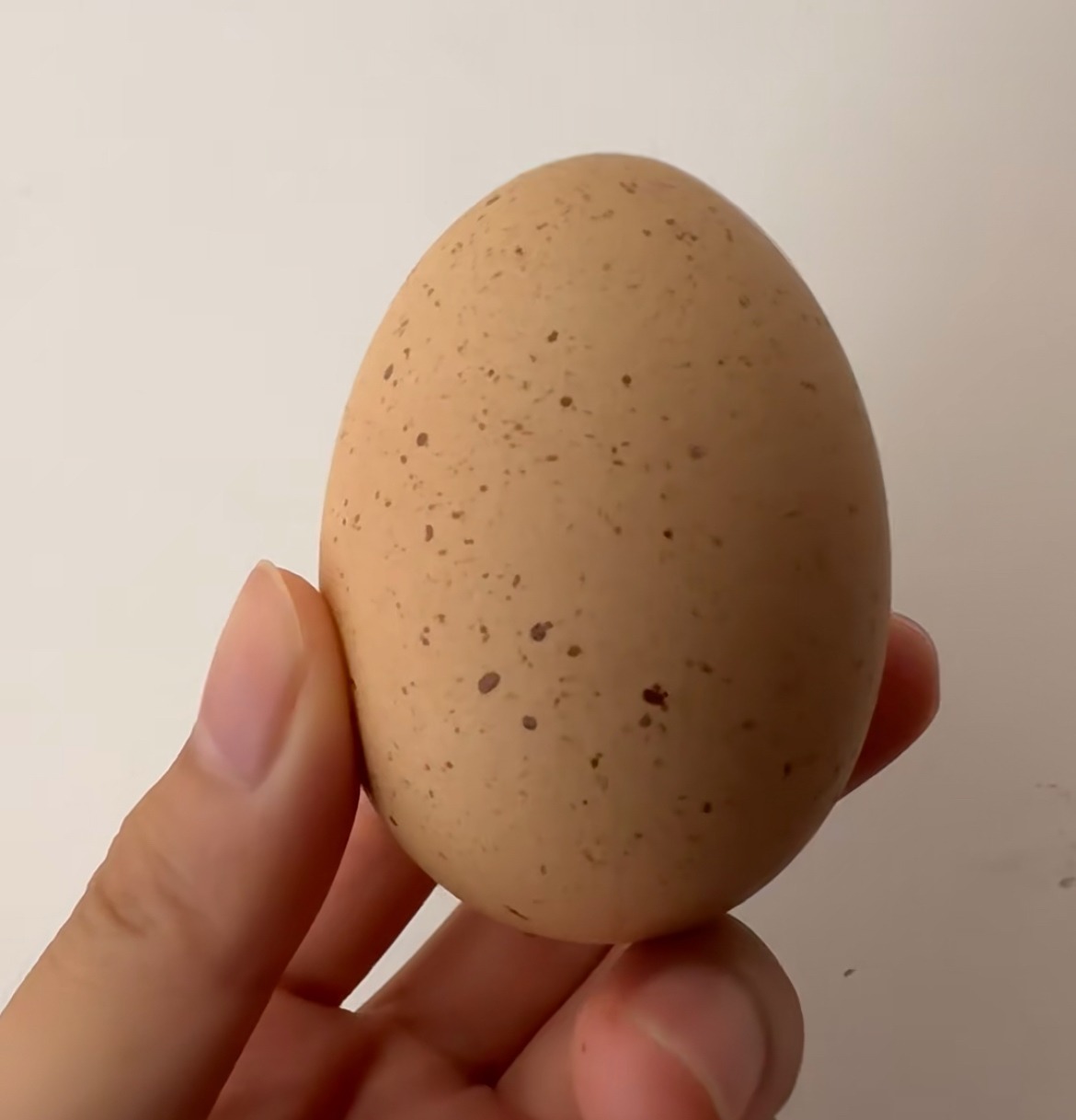 Có 2 loại trứng trong 