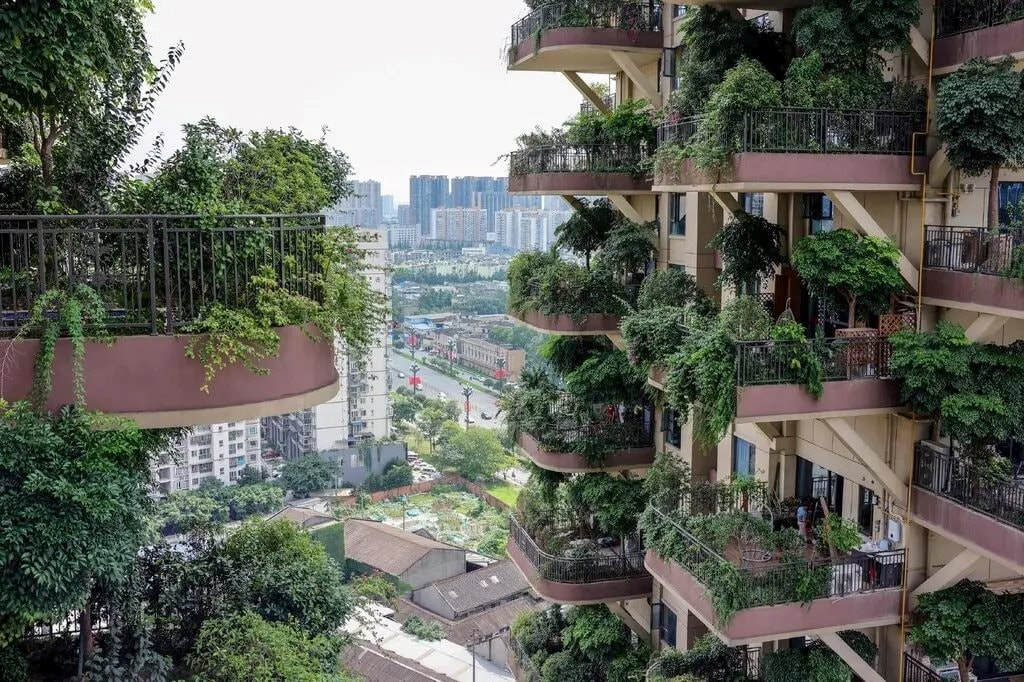 Vỡ mộng với chốn phồn hoa đô thị, giới trẻ Trung Quốc đổ xô tới ‘thành phố hạnh phúc nhất đất nước’ lập nghiệp: “Mức lương ở đây đủ để mua bất cứ thứ gì tôi muốn”- Ảnh 2.