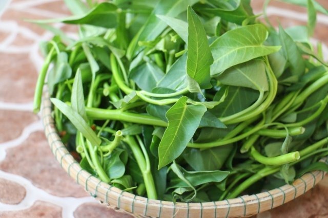 8 loại rau yên tâm mua ở chợ, không lo thuốc trừ sâu- Ảnh 1.