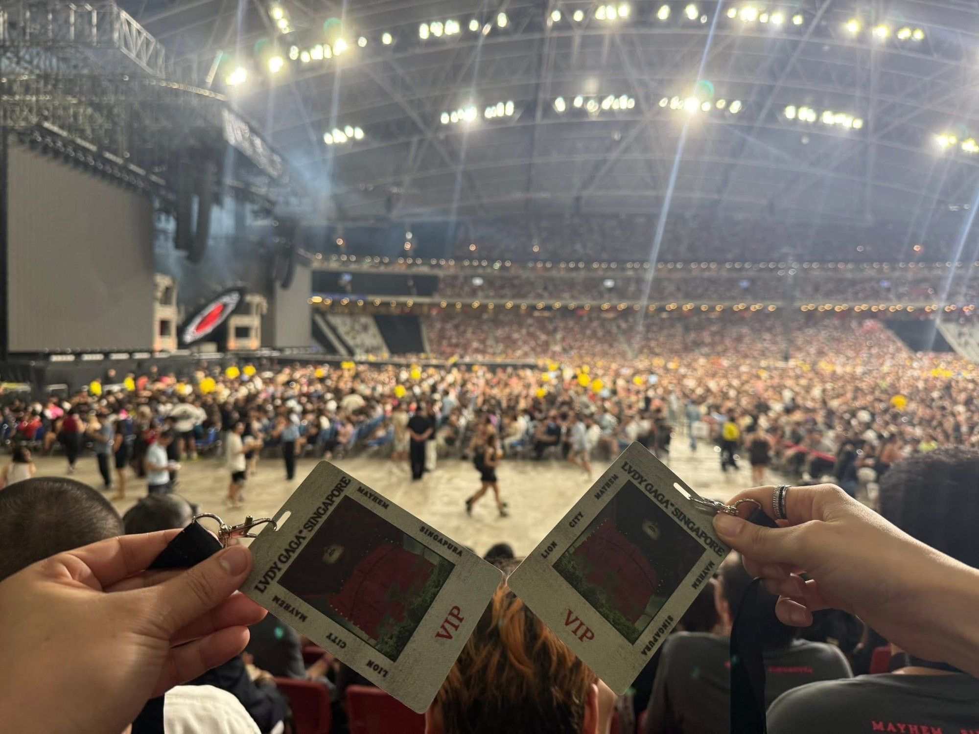Dàn sao Việt đua nhau check-in concert Lady Gaga: Văn Mai Hương bị cười chê, Trấn Thành thì khóc- Ảnh 4.