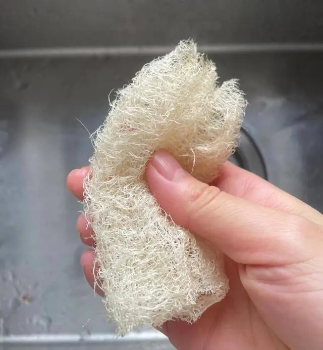 Sau một thời gian sử dụng, tôi nhận ra 6 món đồ trong nhà bẩn hơn so với tưởng tượng, nhiều người hiếm khi vệ sinh cho đúng- Ảnh 2.
