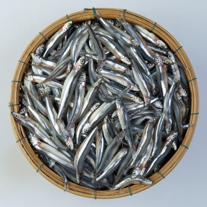 Loại cá dân dã 30.000 đồng/kg có canxi cao gấp 25 lần cá hồi, xưa làm mắm - nay lên bàn tiệc sang!- Ảnh 2.
