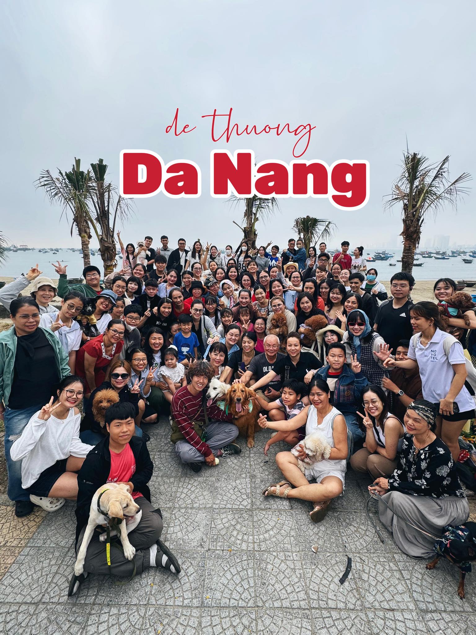 Chàng trai đi du lịch xuyên Việt cùng 2 chú chó: Đến đâu "off-fan" đến đó, vui thì hết nấc nhưng cũng có... nỗi niềm khó tả mà các "sen" cần biết- Ảnh 6.