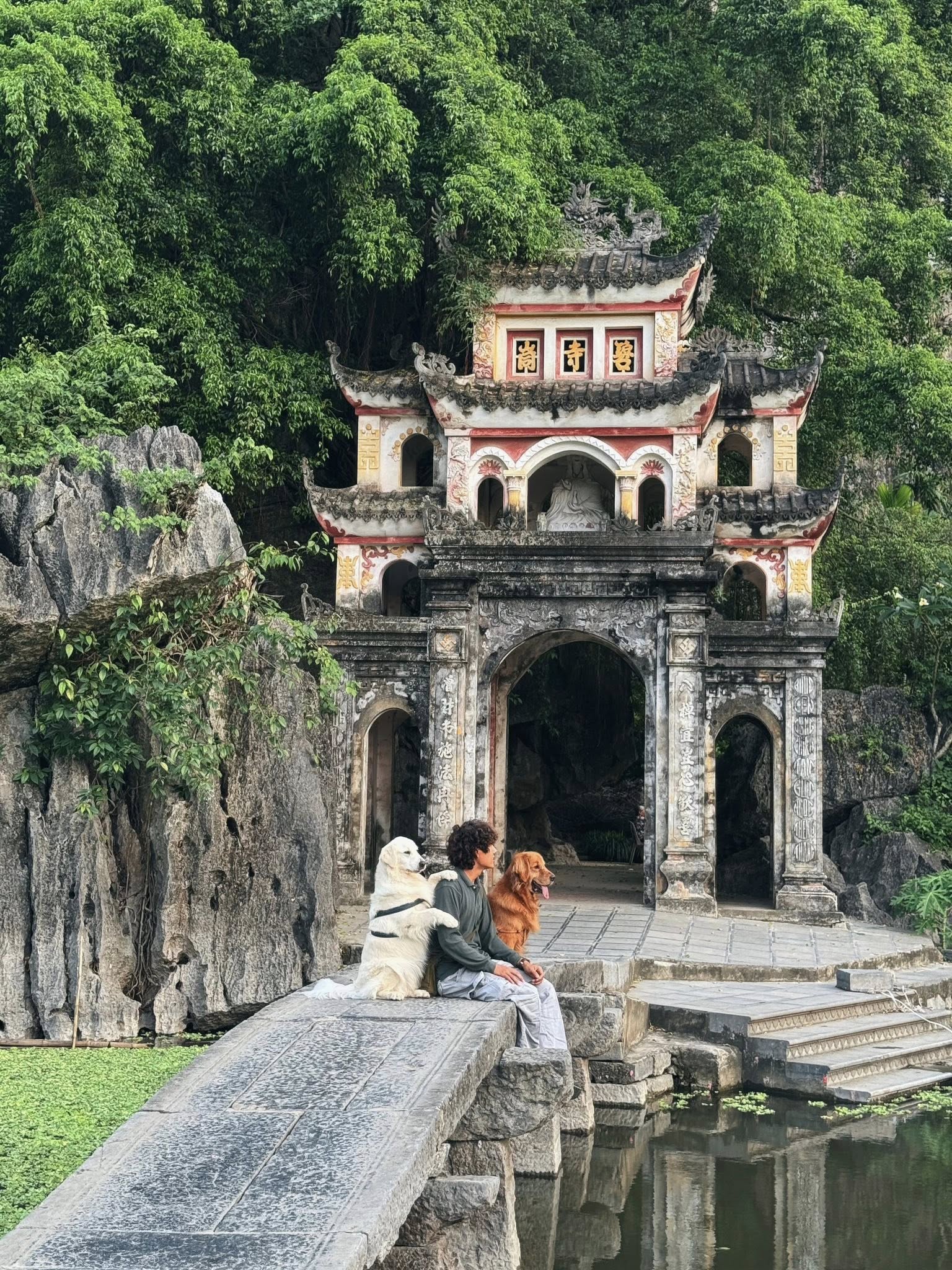Chàng trai đi du lịch xuyên Việt cùng 2 chú chó: Đến đâu "off-fan" đến đó, vui thì hết nấc nhưng cũng có... nỗi niềm khó tả mà các "sen" cần biết- Ảnh 11.