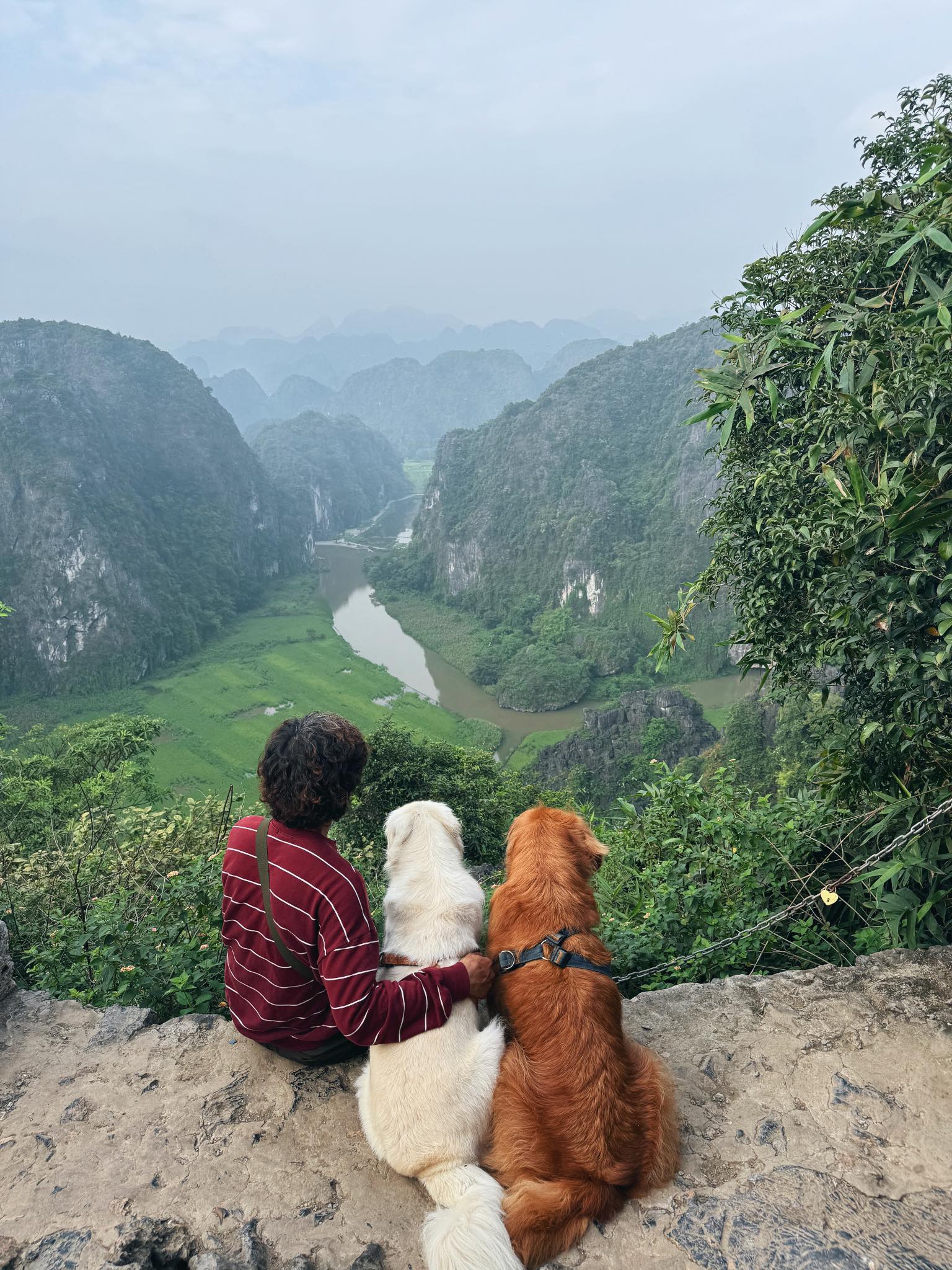 Chàng trai đi du lịch xuyên Việt cùng 2 chú chó: Đến đâu "off-fan" đến đó, vui thì hết nấc nhưng cũng có... nỗi niềm khó tả mà các "sen" cần biết- Ảnh 12.