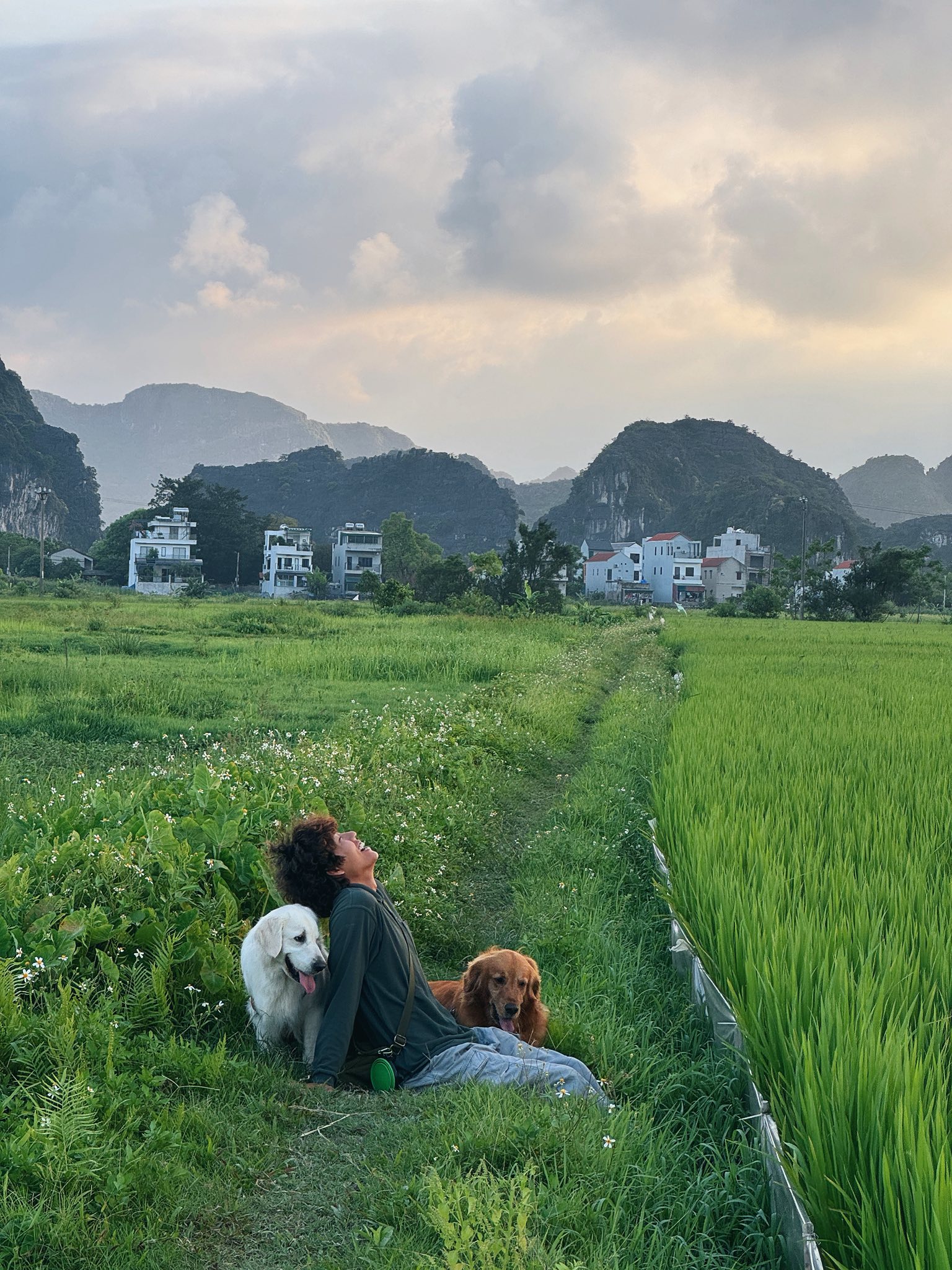 Chàng trai đi du lịch xuyên Việt cùng 2 chú chó: Đến đâu "off-fan" đến đó, vui thì hết nấc nhưng cũng có... nỗi niềm khó tả mà các "sen" cần biết- Ảnh 20.