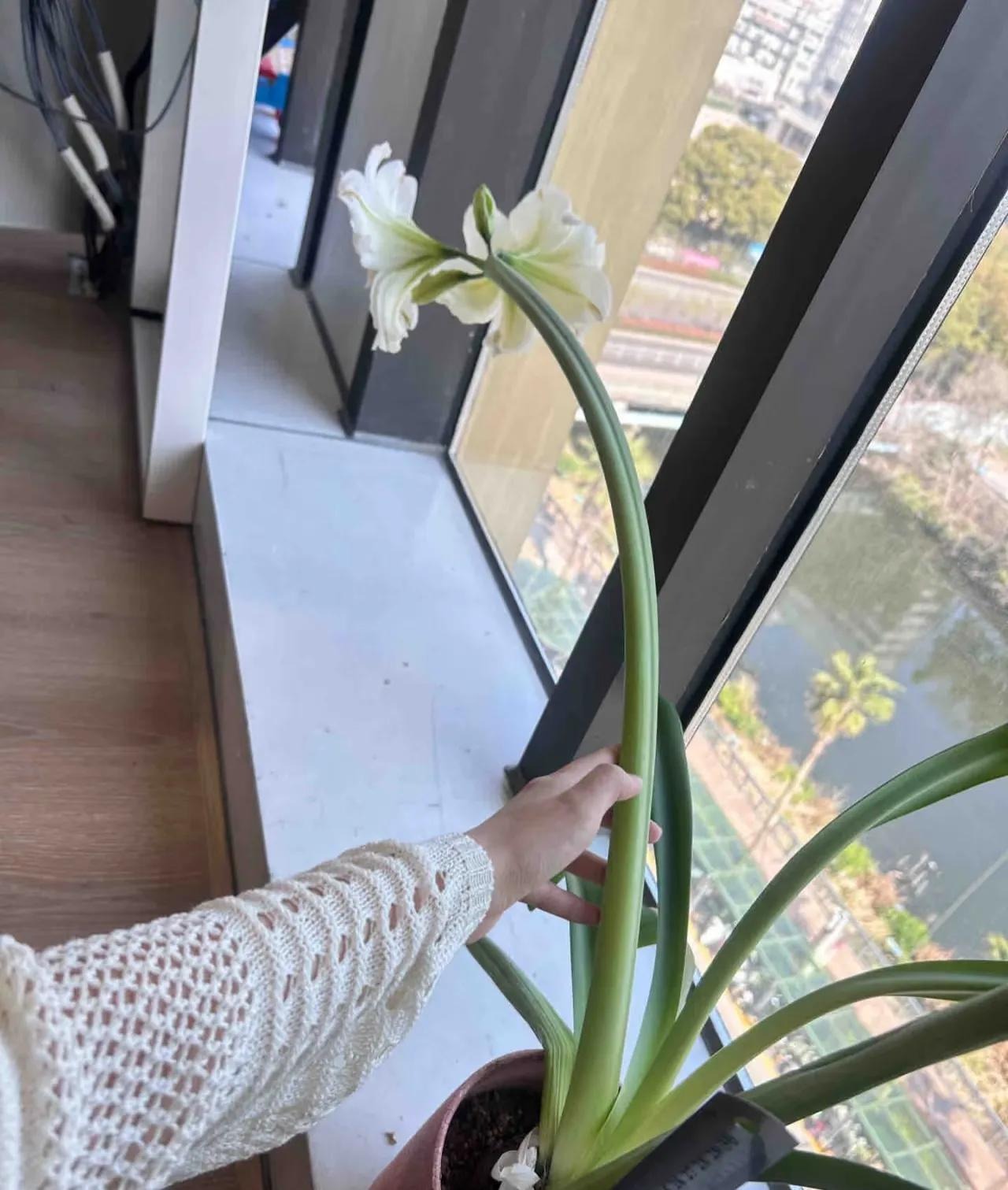 Bức ảnh đang viral chóng mặt khiến 1 triệu người thốt lên Bức ảnh đang viral chóng mặt khiến 1 triệu người thốt lên