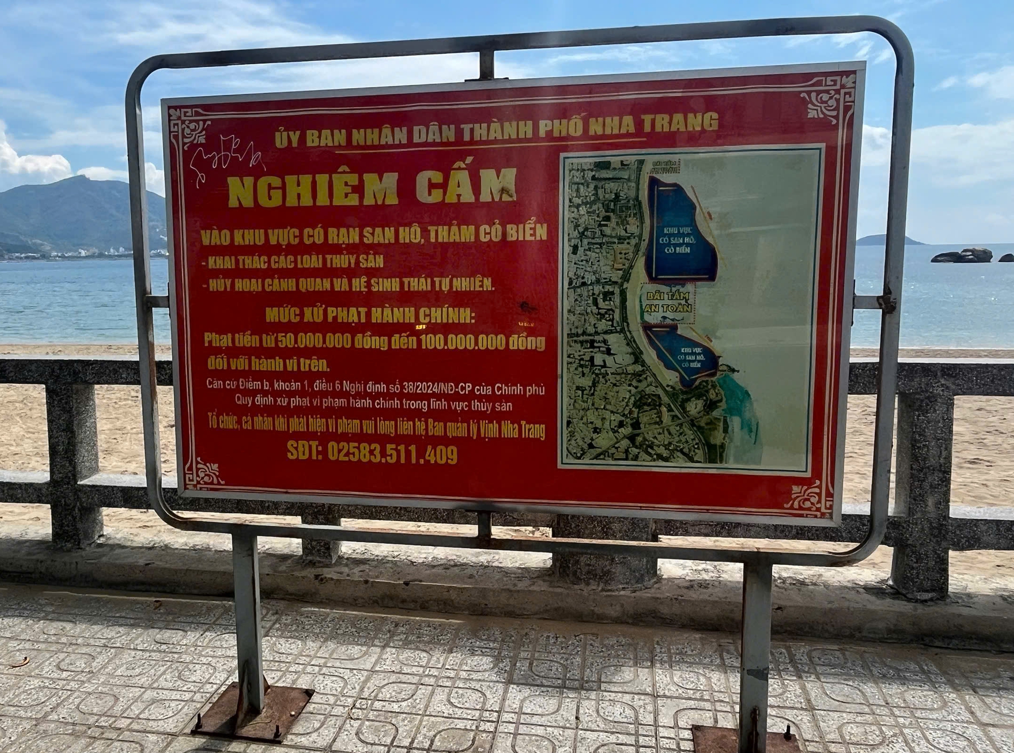 Ban Quản lý Vịnh Nha Trang nói gì về clip lặn ngắm cá ở Hòn Chồng gây tranh cãi?- Ảnh 2.