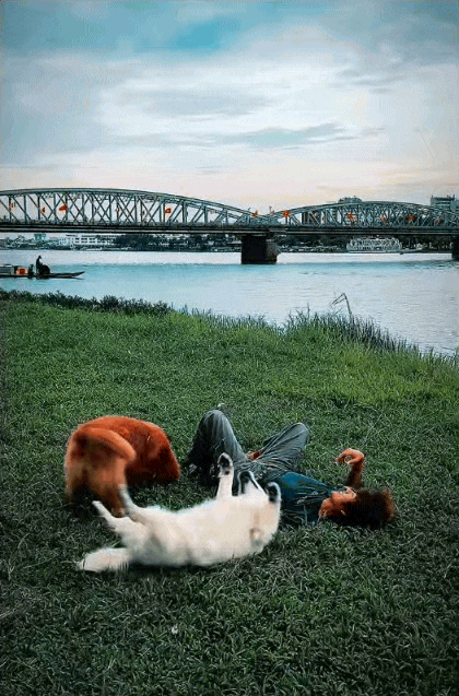 Chàng trai đi du lịch xuyên Việt cùng 2 chú chó: Đến đâu "off-fan" đến đó, vui thì hết nấc nhưng cũng có... nỗi niềm khó tả mà các "sen" cần biết- Ảnh 14.