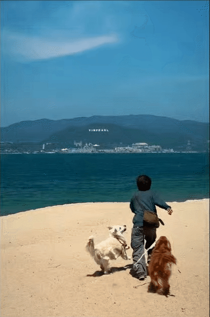 Chàng trai đi du lịch xuyên Việt cùng 2 chú chó: Đến đâu "off-fan" đến đó, vui thì hết nấc nhưng cũng có... nỗi niềm khó tả mà các "sen" cần biết- Ảnh 18.