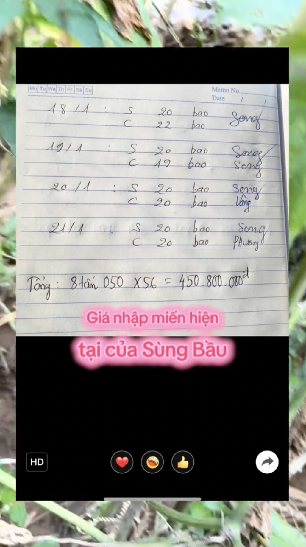 Ông chủ miến dong Điện Biên liên quan Sùng Bầu lên tiếng xin lỗi: Nói gì mà bị phản ứng dữ dội?- Ảnh 2.