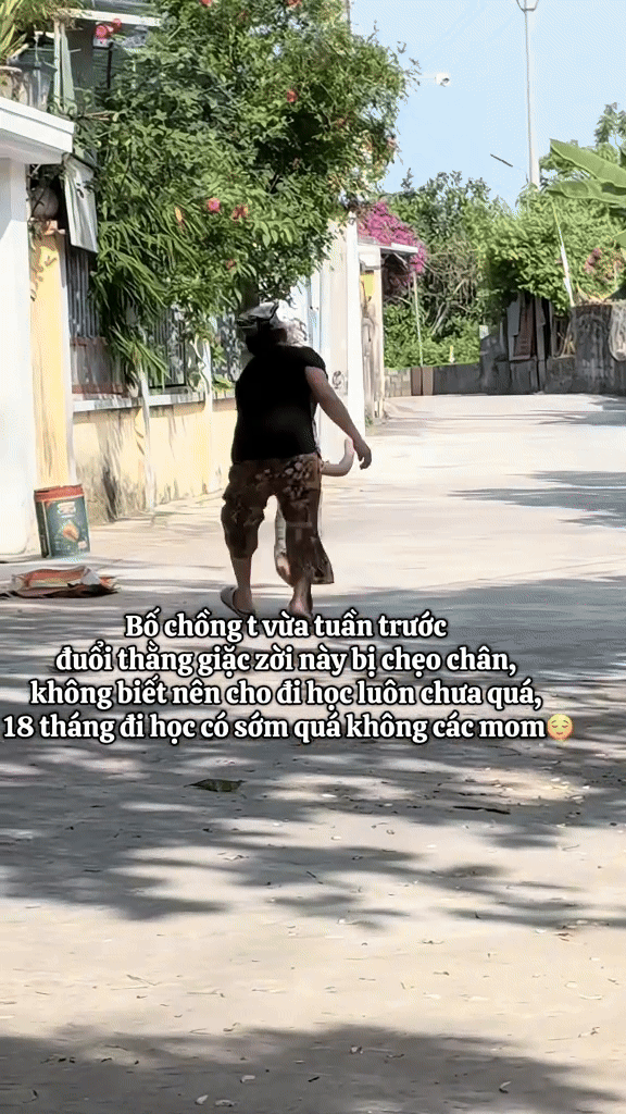 Đến hẹn lại lên, dân tình lại được dịp giải trí với những pha tấu hài cực mạnh khi 