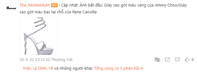 Triệu Lệ Dĩnh vừa chiếm sóng với bóng lưng hút hồn đã bị bóc ngay diện toàn đồ fake?- Ảnh 15.