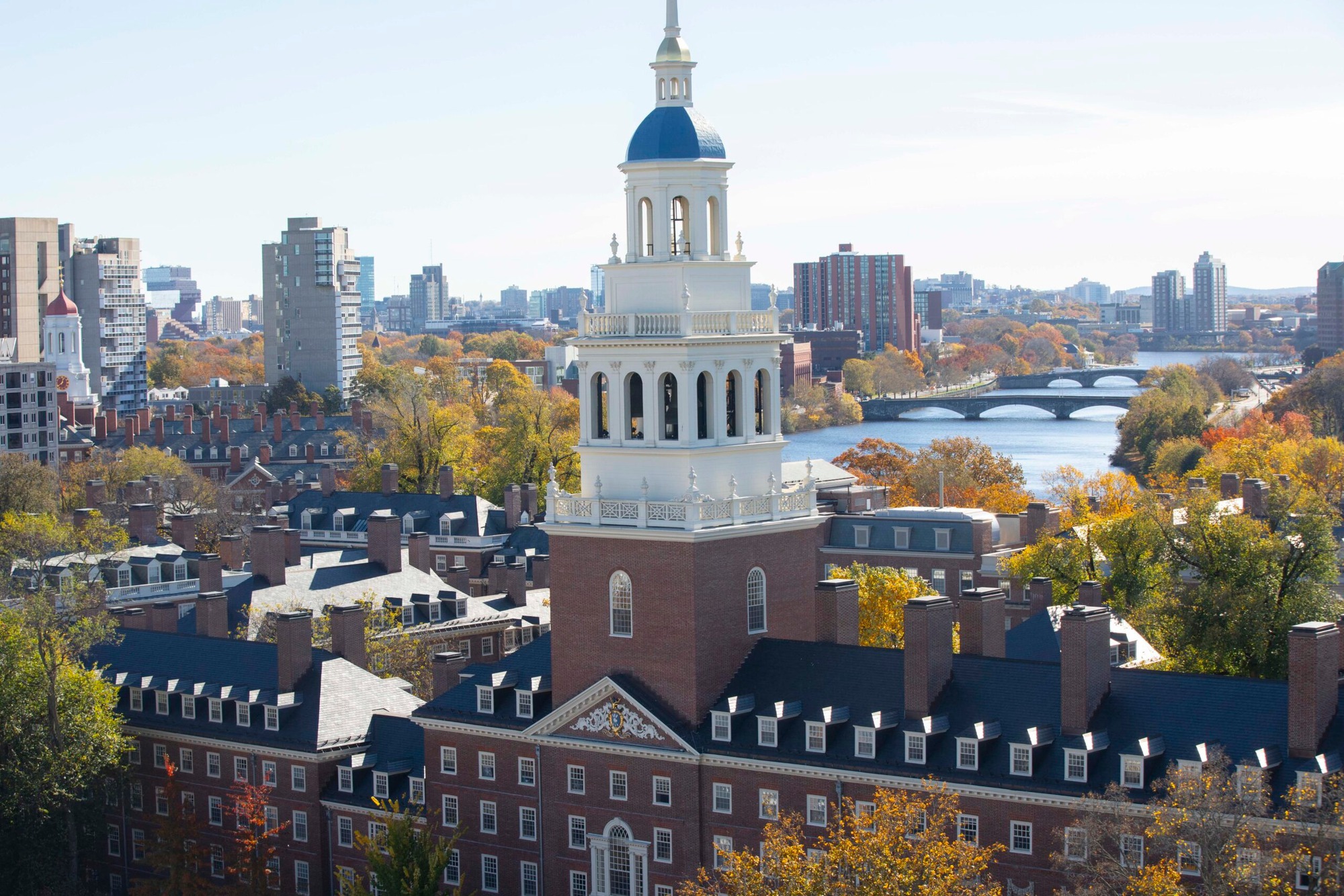 Chuyện gì đang xảy ra với Harvard?- Ảnh 1.