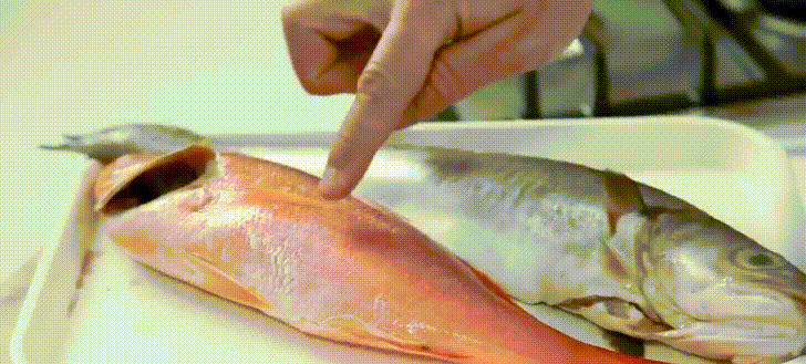 Đi chợ thấy cá có 5 dấu hiệu này thì 
