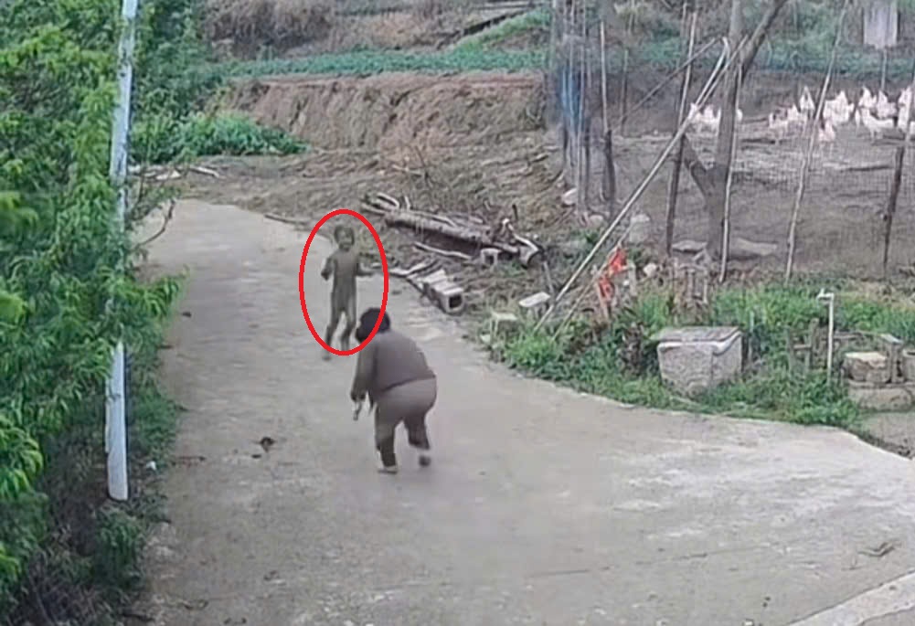 15 giây náo loạn cả xóm: Tưởng chuyện gì căng lắm, ra là màn "chào sân" của khối nghỉ hè- Ảnh 2.