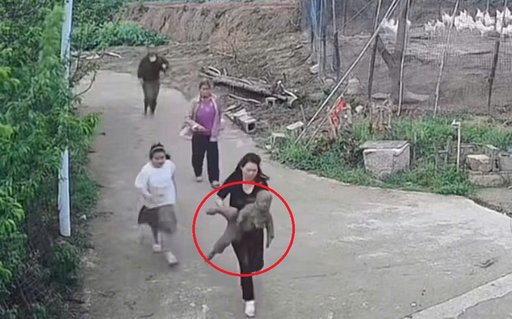 15 giây náo loạn cả xóm: Tưởng chuyện gì căng lắm, ra là màn "chào sân" của khối nghỉ hè- Ảnh 1.