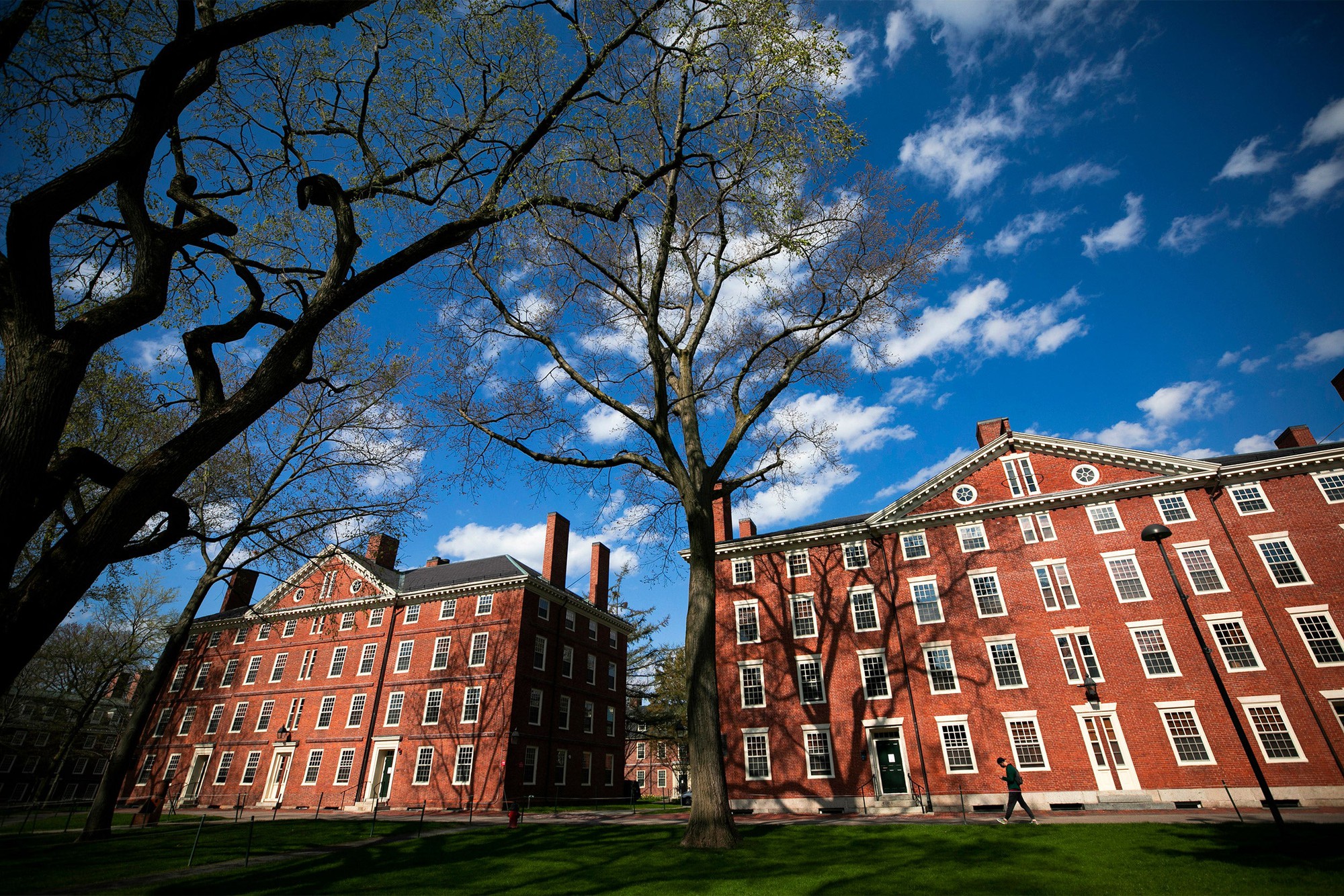 Lo lắng, hồi hộp và run sợ: Sinh viên quốc tế tại Harvard đang hoang mang vì khả năng lâm vào cảnh "đứt gánh giữa đường"- Ảnh 2.