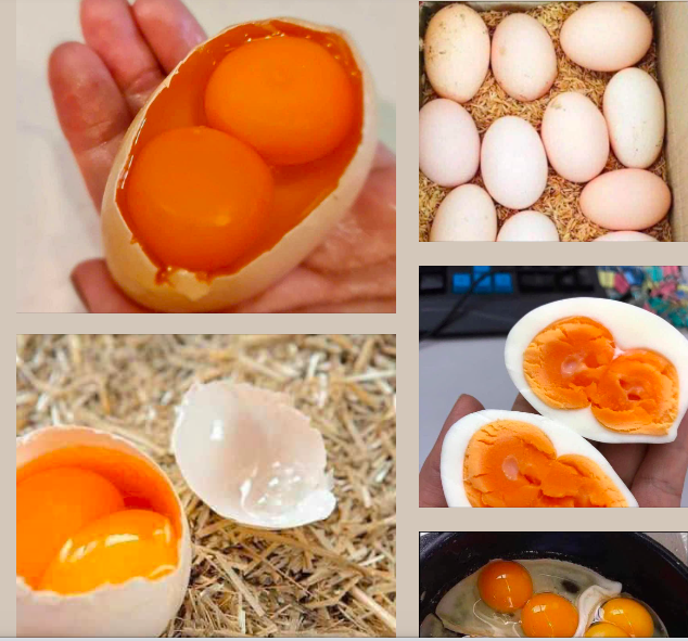 Thực hư thông tin về các loại trứng gà 2 lòng đỏ, vỏ nhiều màu sắc- Ảnh 1.
