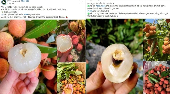 Chợ mạng rao bán vải u hồng chín sớm, giá rẻ bất ngờ- Ảnh 1.