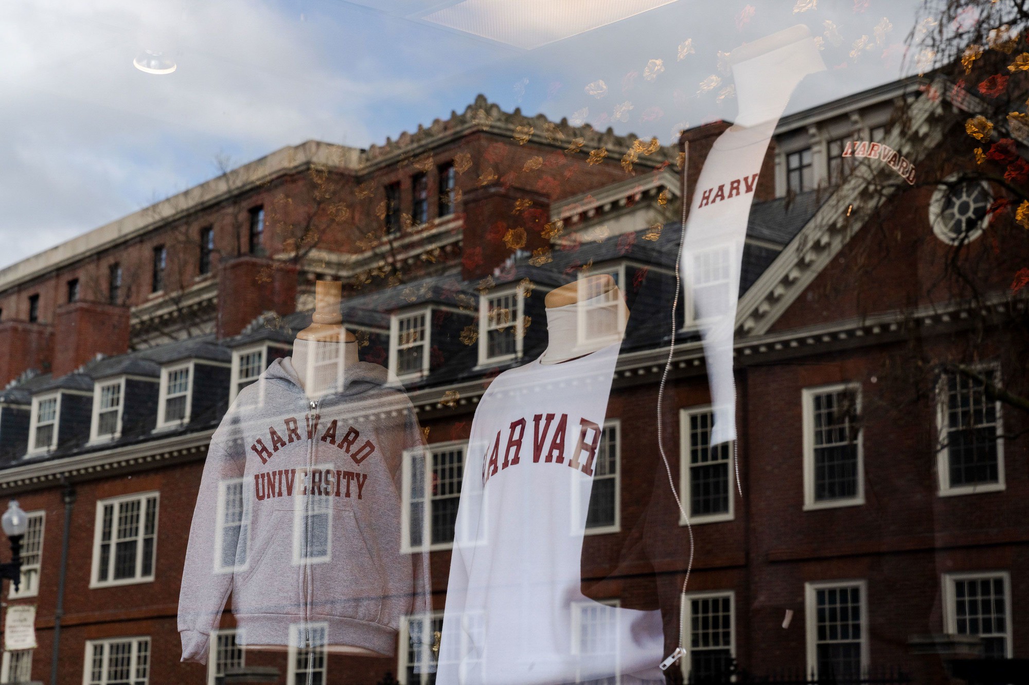 Lo lắng, hồi hộp và run sợ: Sinh viên quốc tế tại Harvard đang hoang mang vì khả năng lâm vào cảnh "đứt gánh giữa đường"- Ảnh 1.
