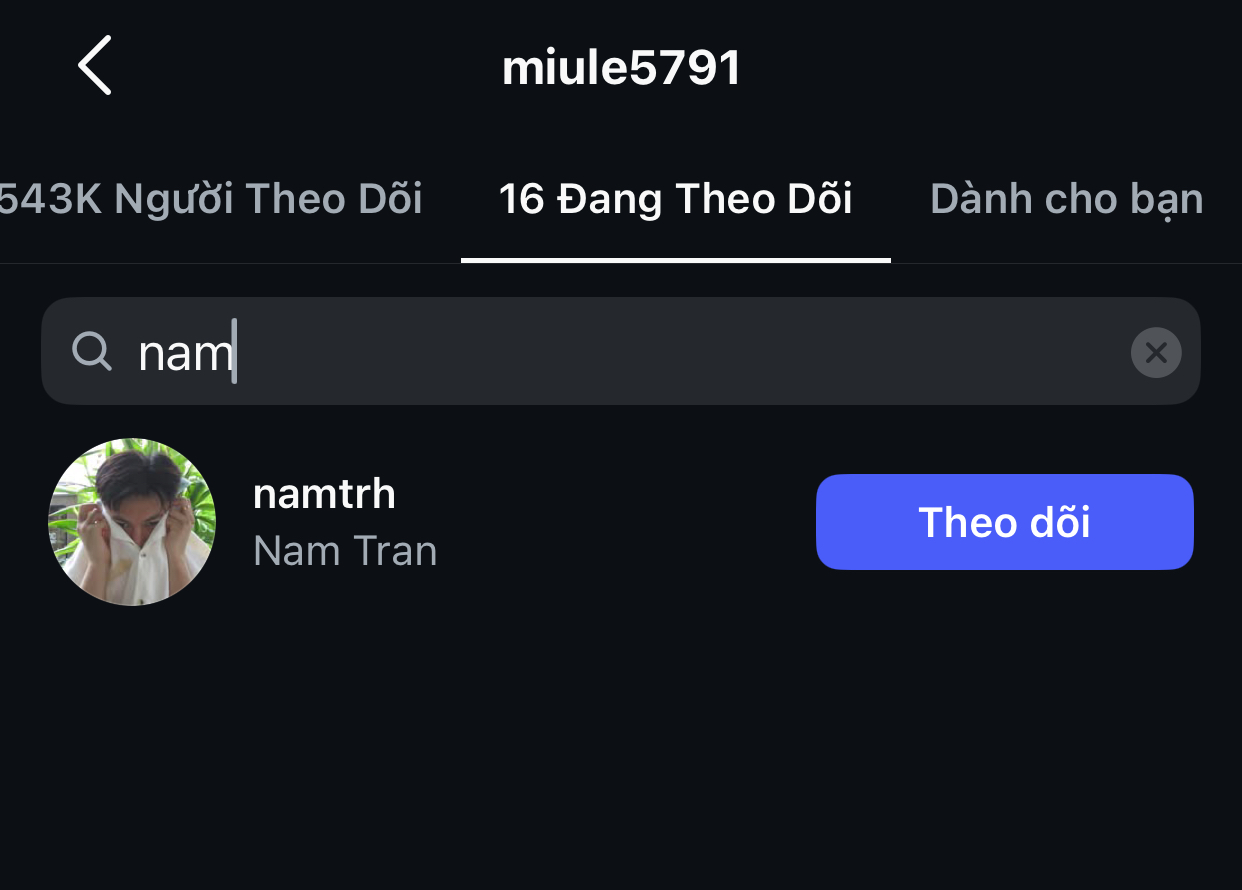 Miu Lê có bạn trai mới?- Ảnh 2.