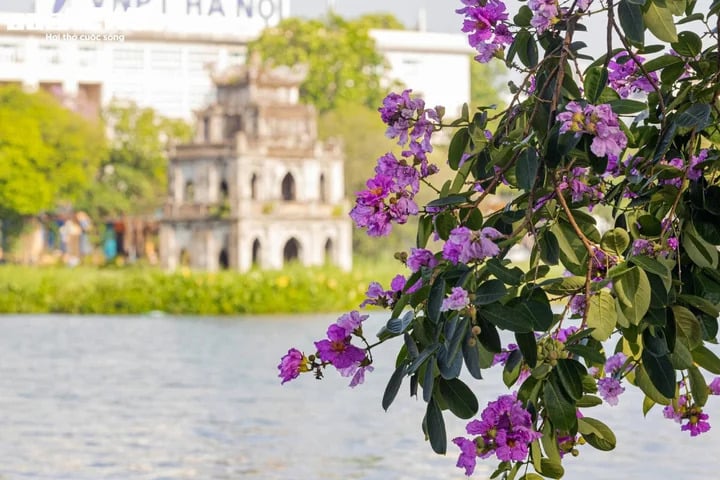Cuối tháng 5 vẫn lạnh như mùa thu, dân mạng thích thú khoe khoảnh khắc 'co ro'- Ảnh 1.