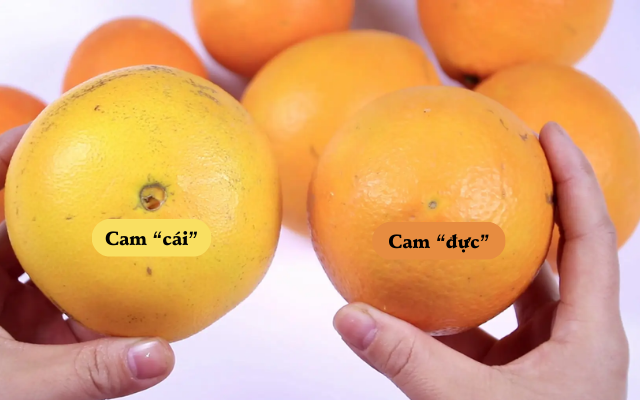 Mua cam nhớ đúng 5 mẹo: Đảm bảo chọn đâu trúng đó, quả nào quả nấy ngọt như rót mật!- Ảnh 1.