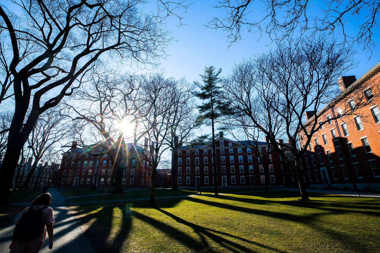 Lo lắng, hồi hộp và run sợ: Sinh viên quốc tế tại Harvard đang hoang mang vì khả năng lâm vào cảnh "đứt gánh giữa đường"- Ảnh 4.