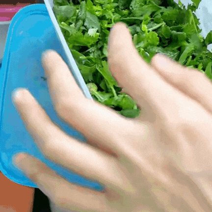 Bí quyết giữ rau thơm tươi lâu: Có nên trữ đông rau mùi (ngò rí)? Vì sao để tủ lạnh lại bị thâm đen?- Ảnh 10.