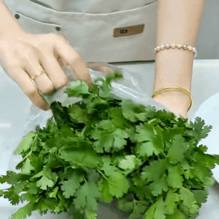 Bí quyết giữ rau thơm tươi lâu: Có nên trữ đông rau mùi (ngò rí)? Vì sao để tủ lạnh lại bị thâm đen?- Ảnh 3.