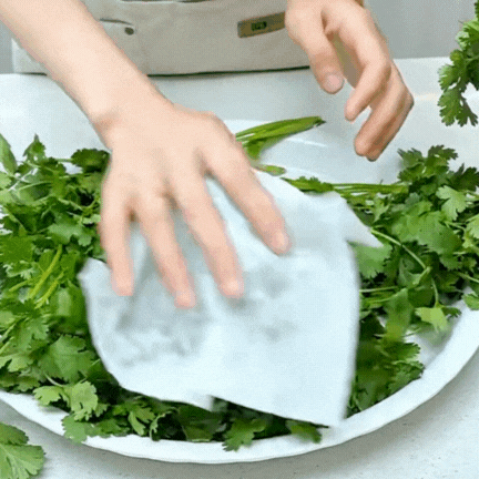 Bí quyết giữ rau thơm tươi lâu: Có nên trữ đông rau mùi (ngò rí)? Vì sao để tủ lạnh lại bị thâm đen?- Ảnh 6.