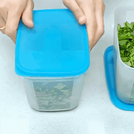 Bí quyết giữ rau thơm tươi lâu: Có nên trữ đông rau mùi (ngò rí)? Vì sao để tủ lạnh lại bị thâm đen?- Ảnh 9.