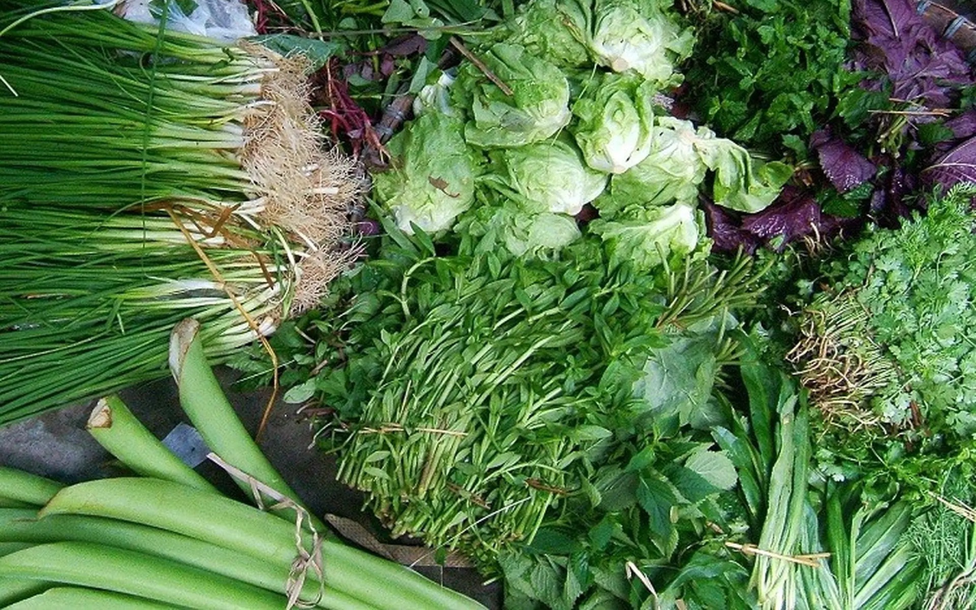 Loại rau kh&ocirc;ng chợ Việt n&agrave;o thiếu được, tưởng ăn cho thơm ai ngờ l&agrave; KHẮC TINH của ung thư miệng, dạ d&agrave;y, thực quản