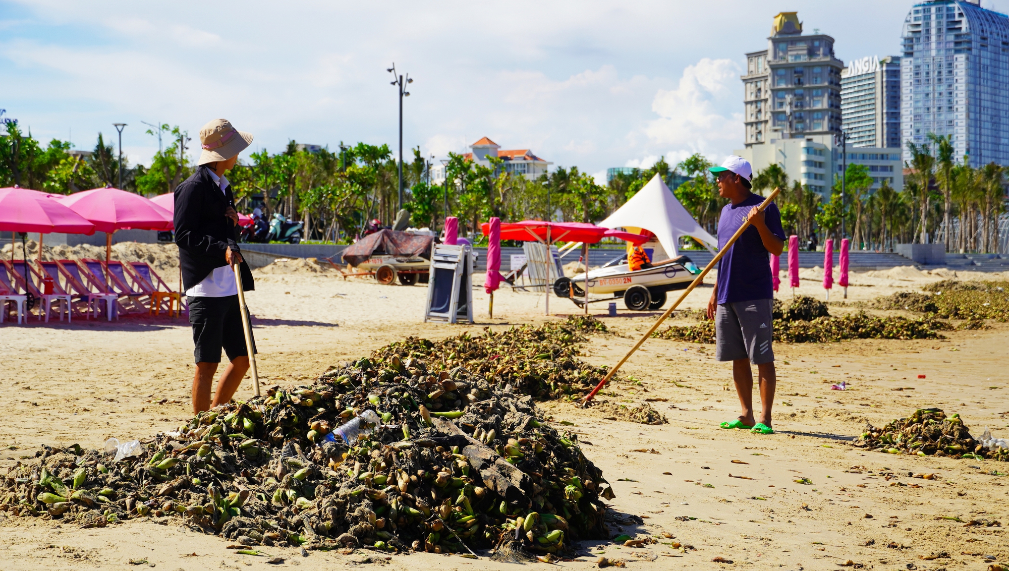 Bất ngờ với hình ảnh "chưa bao giờ thấy" ở biển Bãi Sau, TP Vũng Tàu- Ảnh 5.