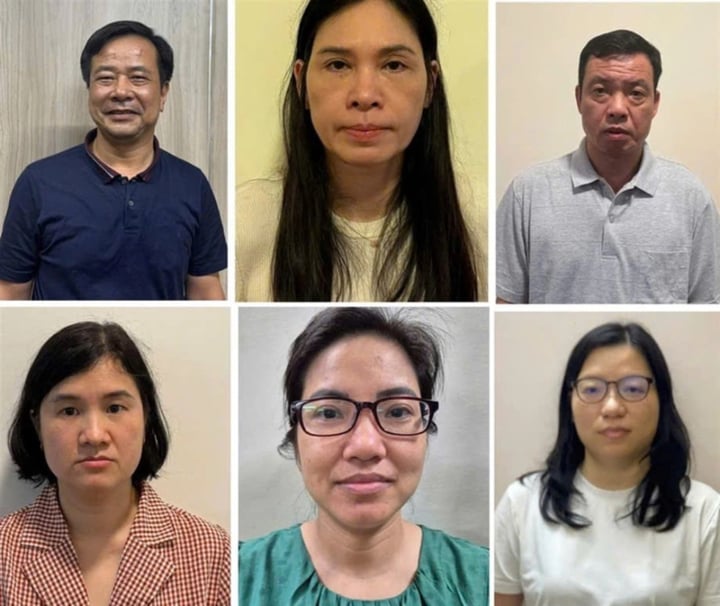 Bắt Chủ tịch và Tổng Giám đốc Công ty Sona- Ảnh 1.