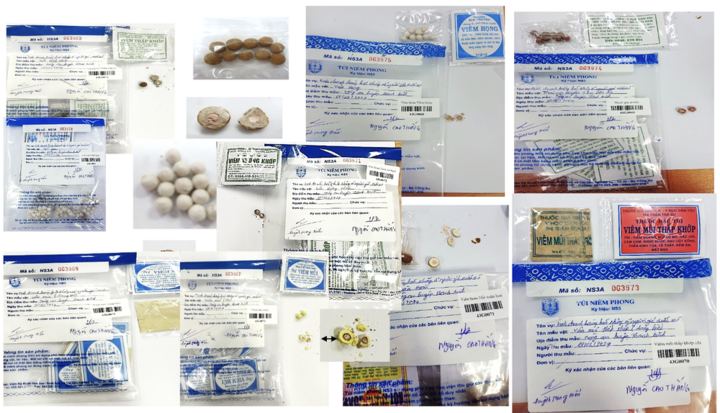 Thứ trưởng Y tế: Bán 1 viên thuốc giả cũng là phạm pháp, cần xử lý nghiêm- Ảnh 3.