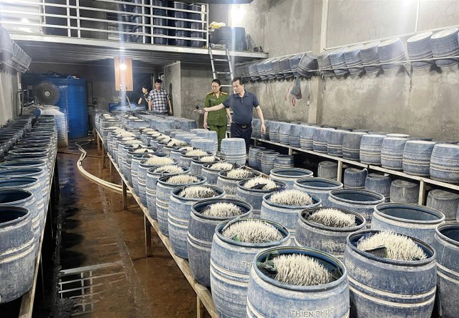Lạnh người với quy trình sản xuất hàng giá đỗ ngậm hóa chất độc hại- Ảnh 2.