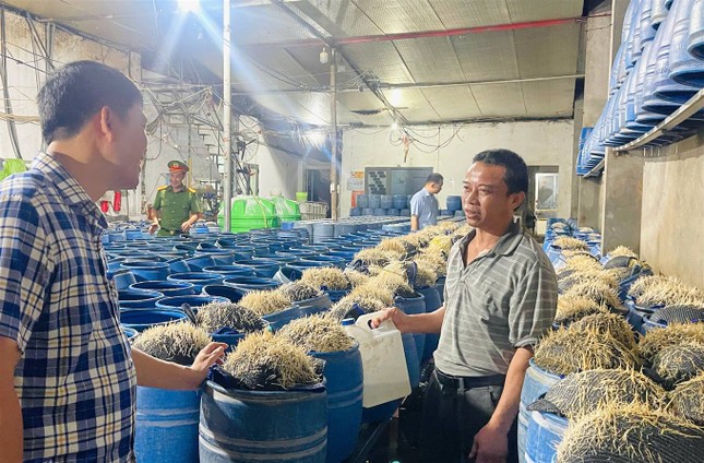 Lạnh người với quy trình sản xuất hàng giá đỗ ngậm hóa chất độc hại- Ảnh 1.