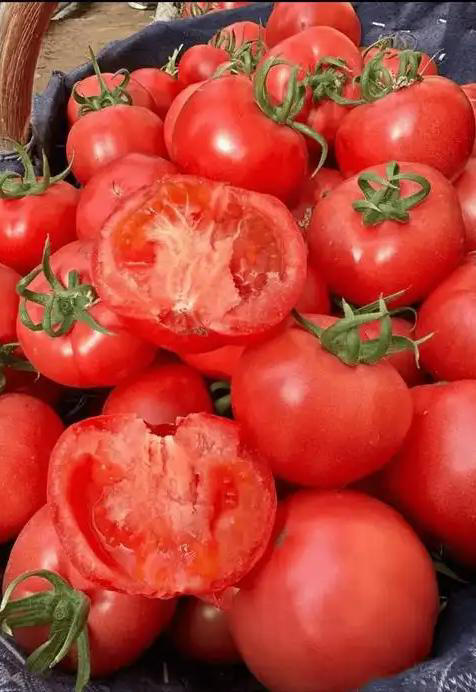 Dạo 1 vòng chợ, người tinh ranh nhìn là biết ngay 5 loại rau củ này "ngâm tẩm đẫm hóa chất", nhất là cái số 4- Ảnh 1.