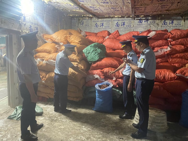 Phát hiện gần 8 tấn chân gà 'bẩn' đang chờ tiêu thụ tại Quảng Ninh- Ảnh 1.